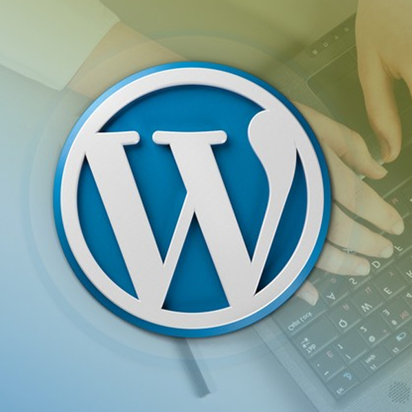 Wordpress Development Company